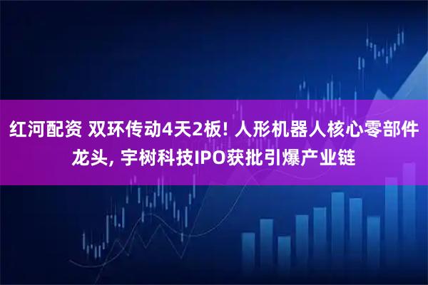 红河配资 双环传动4天2板! 人形机器人核心零部件龙头, 宇树科技IPO获批引爆产业链