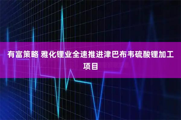 有富策略 雅化锂业全速推进津巴布韦硫酸锂加工项目